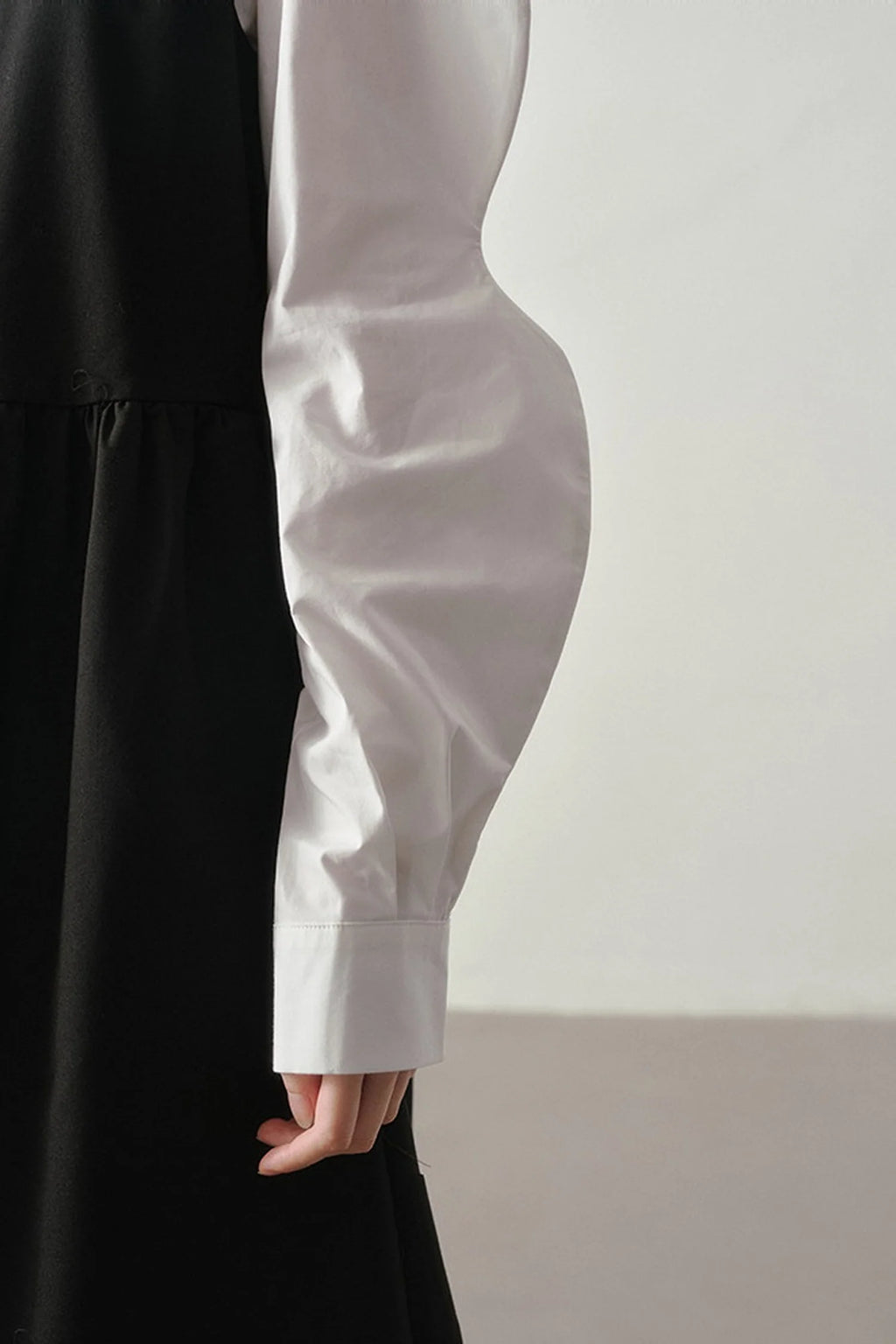 Ruffle Collar Puff Sleeve Blouse